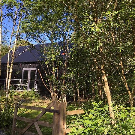 Alder Cabin 基尔根尼 外观 照片