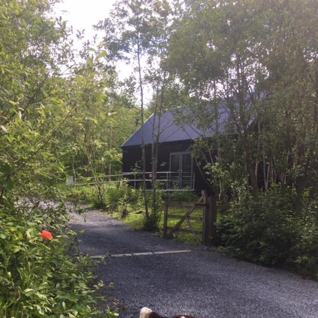 Alder Cabin 基尔根尼 外观 照片