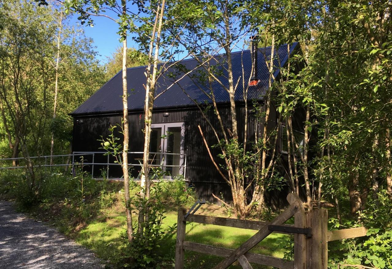 Alder Cabin 基尔根尼 外观 照片